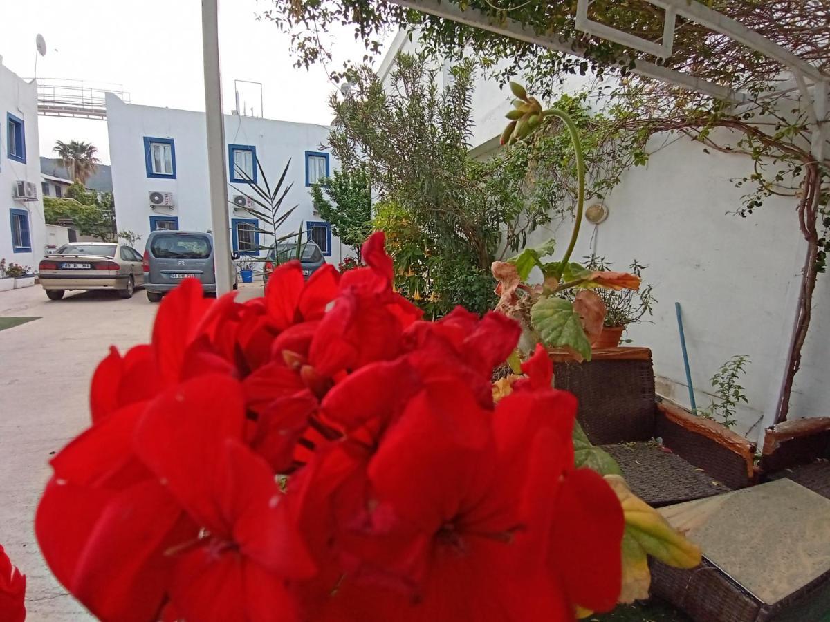 Pay Otel Bodrum Luaran gambar